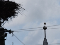 idegen a tornyon 1